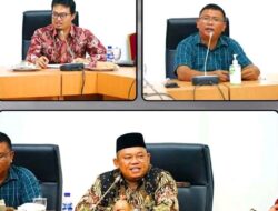 Wakil Bupati Labuhanbatu Terima Kunjungan Tim BPK RI perwakilan Sumatera Utara
