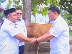 Wakil Bupati Labuhanbatu Serahkan Sapi Kurban Bantuan Gubernur Sumut Untuk Lapas Rantauprapat