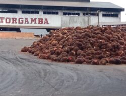 PERNYATAAN OKNUM KTU PKS TORGAMBA NGAWOR/MENGADA NGADA. Jurnalis harus membuat surat permohonan secara tertulis dahulu untuk kompirmasi