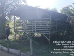 Oknum Kepenghuluan Parit Aman Diduga Mark-Up Dan Manipulasi Anggaran Dana Desa Tahun 2024