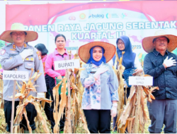 Bupati Labuhanbatu Hadiri Kegiatan Panen Raya Jagung Serentak Kuartal III