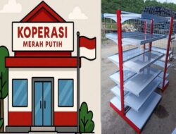 Misteri Ratusan Miliar Proyek Rak KDMP: Kantor Fiktif, Gudang Militer, dan Aroma Impor Murahan