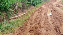 Warga Pekon Margo Mulyo Kecamatan Semaka, Harapkan Realisasi Perbaikan Akses Jalan