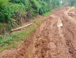 Warga Pekon Margo Mulyo Kecamatan Semaka, Harapkan Realisasi Perbaikan Akses Jalan