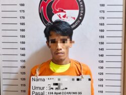 Satres Narkoba Polres Labuhanbatu Berhasil Amankan MP Alias Uli Warga Lobusona 