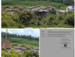 Prof. Sutan Nasomal : Pemerintah Bersama TNI POLRI Bersatu Tutup Permanen Perusahaan Melanggar Maupun Illegal Di Aceh Singkil Sikat Babat