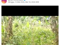 Sabaedi Zalukhu Resmi Bantah Pemberitaan Tidak Berimbang ungkapfakta.info