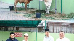 Dirut Perumda Tirtanadi Serahkan 13 Ekor Hewan Sapi Kurban