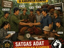 Masyarakat Soroti Dugaan Praktik Jual Beli Buah Kelapa Sawit dari Kawasan Hutan di Kabupaten Kampar