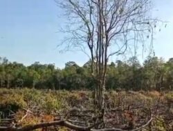Soroti Aik ranggong Kawasan Hutan Di Kuasai Oknum wartawan Laporan LSM BIN Di KEJAKSAAN di pertanyakan 