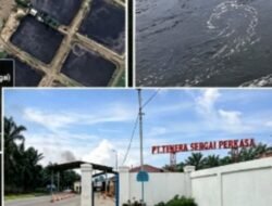 PT Tenera Sergai Perkasa Bantah Dugaan Cemari Sungai Bah Sombu, Pastikan Ipal Sesuai Baku Mutu