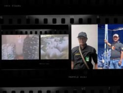 10 Ton Pasir Timah Hasil Tangkapan Tni Al Tak Bertuan, Lsm Bin: Aph Saling Lempar, Publik Dirugikan