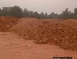 Lewati Batas PL, Proyek PT Karya Tisani, PT BJH, dan PT Putra Gautama Jaya Diduga Caplok Hutan Lindung Batam