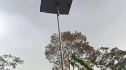 Rp72 Juta Hanya untuk Lima PJU di Pocangan, Seistimewa Apa Penerangannya?